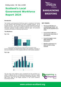 thumbnail of Briefing 162 Local Government workforce briefing 2025 for web