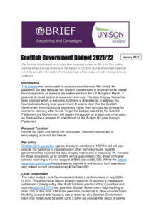 thumbnail of Budgetbrief202122jan21